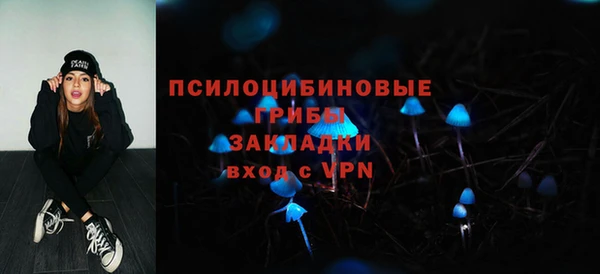 дмт Беломорск