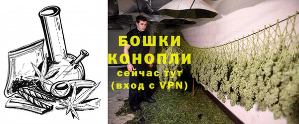 сатива Белоозёрский