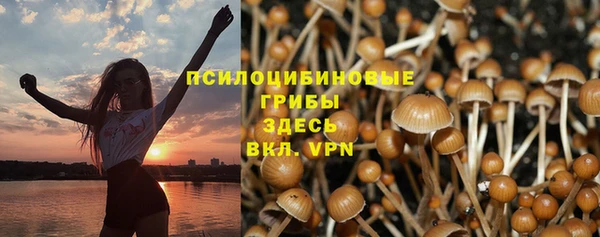 дмт Беломорск